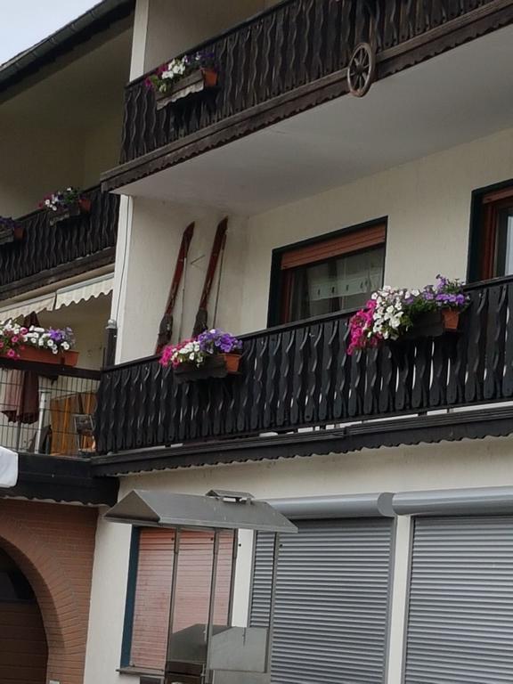Claudias Wohlfühlpension Willingen  Exterior foto